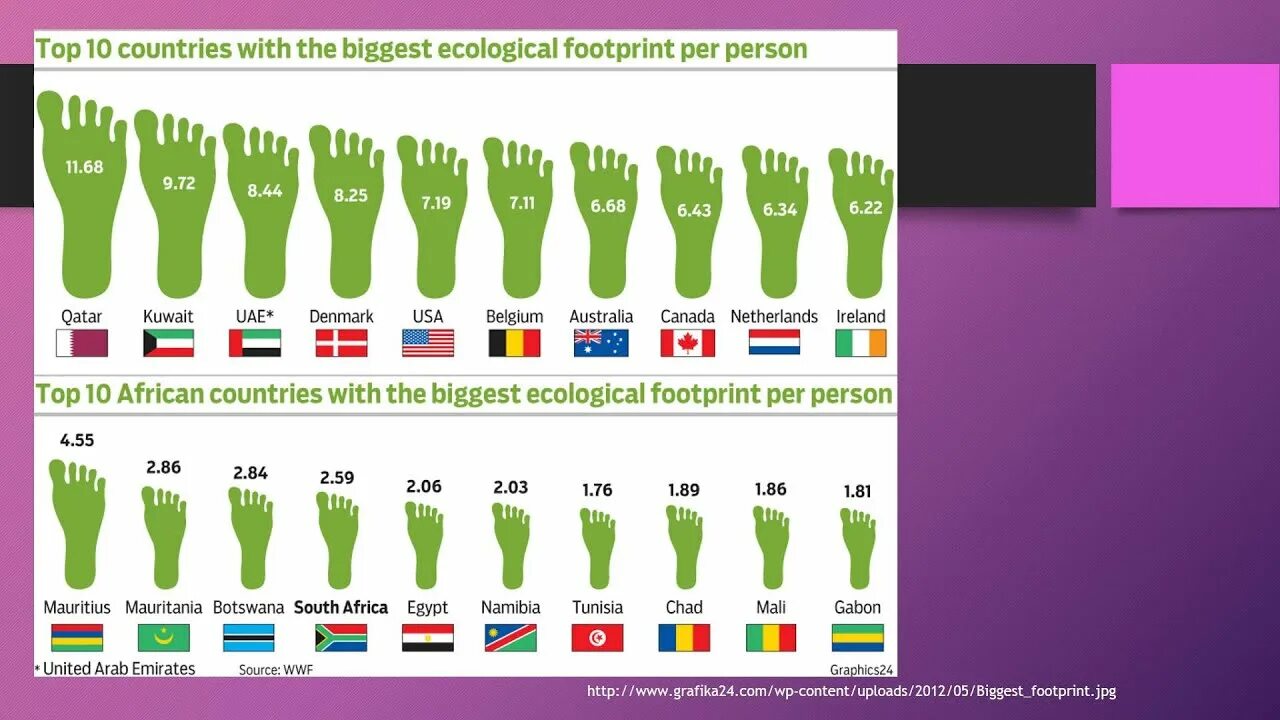 Ecology footprints. Зеленый след. Углеродный след инфографика. Рисунок экологический след человека. Экологический след человека.