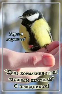 День кормления птиц