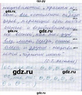 Упражнение 207 7 класс