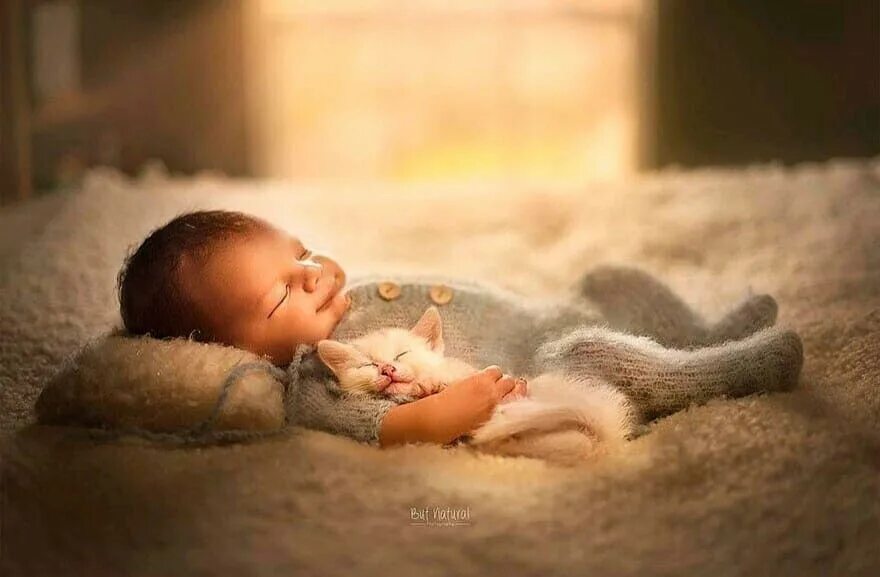 Трогательные картинки новорожденных. Ньюборн звери. Милые трогательные картинки для детей. Детки и животные милые фото.