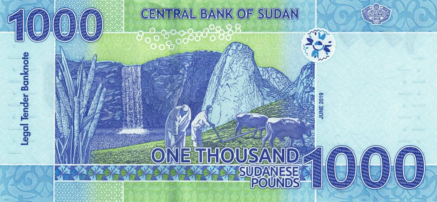 1000 Фунтов. 1000 Фунтов фото. Судан 200 банкнота. Судан 500 фунтов 2019.