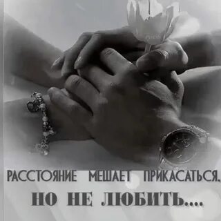 Все к чему прикасается