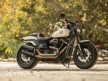 Harley davidson fat bob