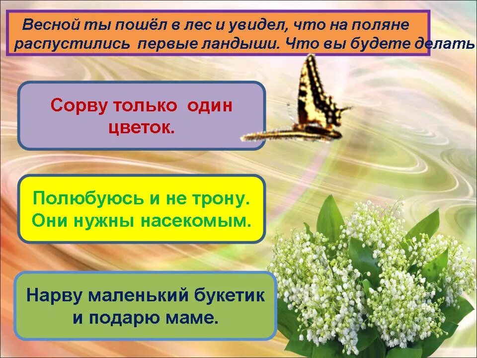 Растения младших школьников