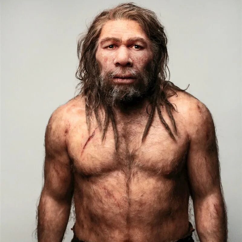 Неандерталец (homo Neanderthalensis). Кроманьонец неандерталец сапиенс сапиенс. Homo sapiens и неандертальцы. Человек разумный Неандертальский.