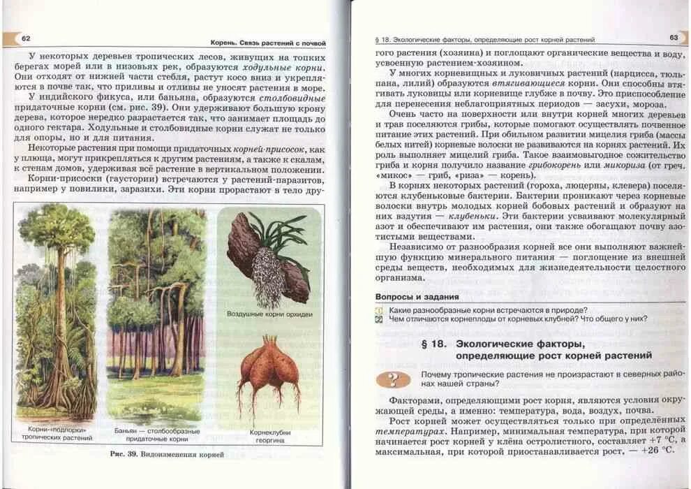 Биология 5 класса параграф 11. Трайтак биология. Задания для 5-6 класса по биологии. Биология 6 класс Трайтак ответы. Биология 5 класс учебник Трайтак оглавление.