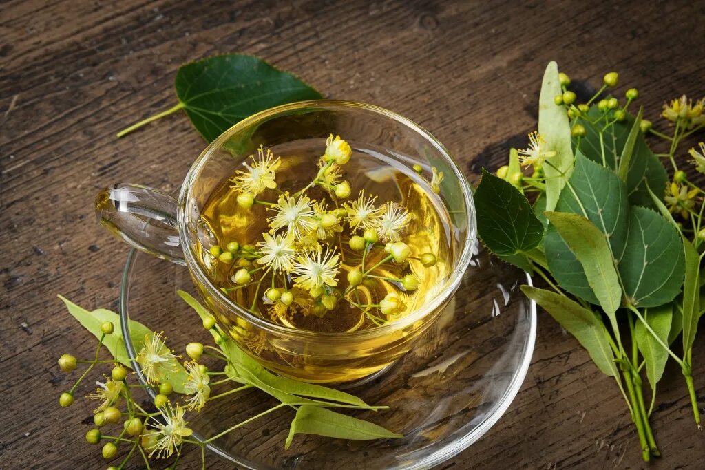 Чесночное масло. Чай с лимоном и медом. Аюрведическая медицина. Лекарственные травы фитотерапия. Сок лука с медом.