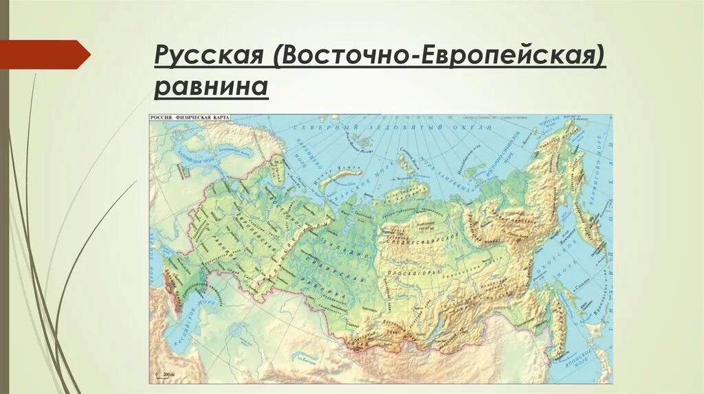 Подпишите названия равнин расположенных. Восточно-европейская равнина на карте Евразии. Восточно-европейская низменность на карте Евразии. Географическая карта России Восточно европейская равнина.