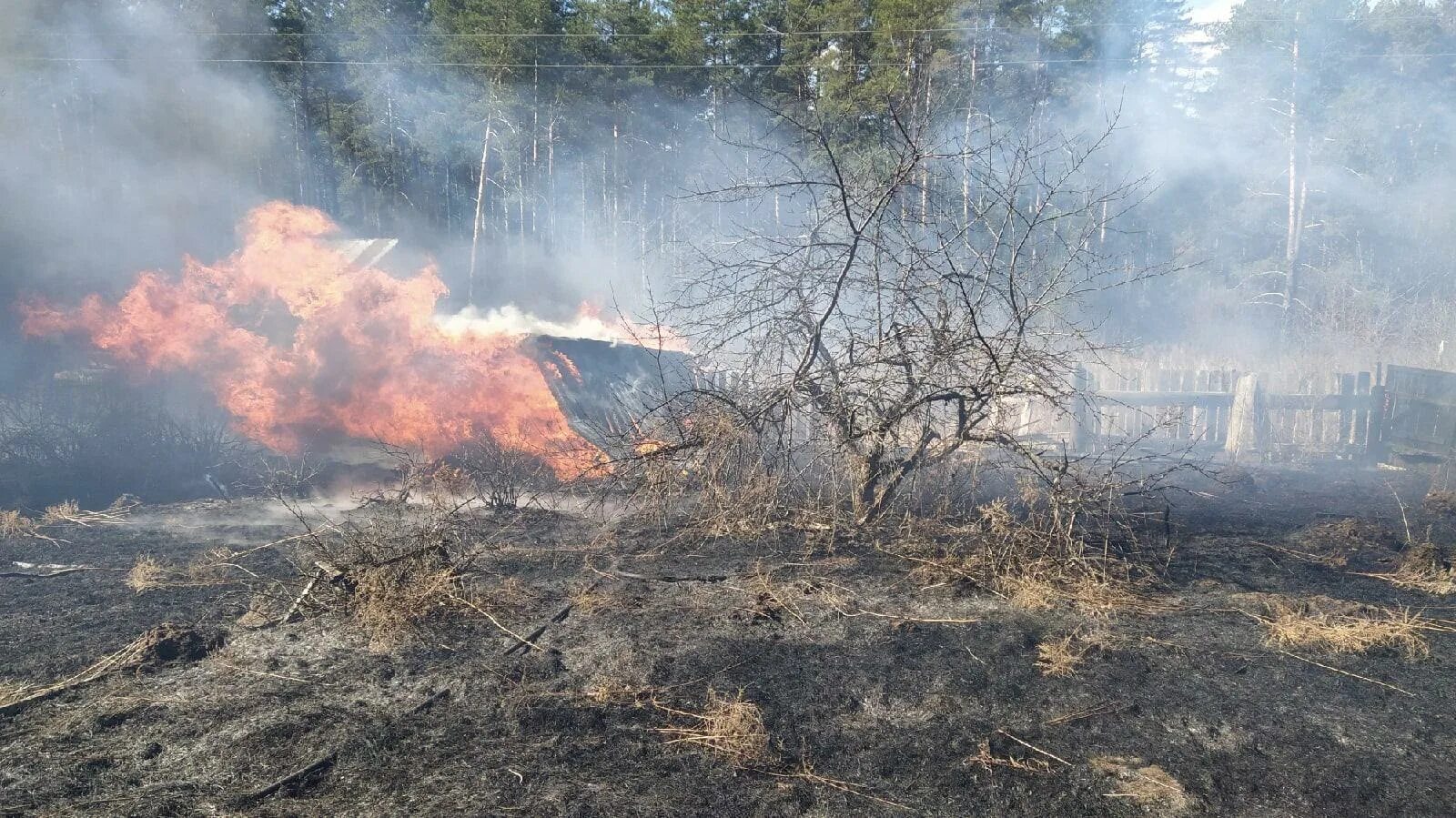 Пожары в Чайковском Пермский край. Пожар в лесу. Пожар вдали. Лесные пожары в Удмуртии. Пожары xolideyboy