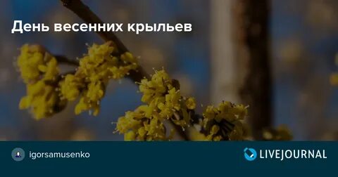 Сильный день в мае