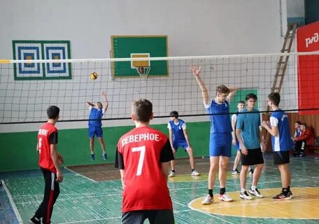 Соревнование по волейболу среди школьников