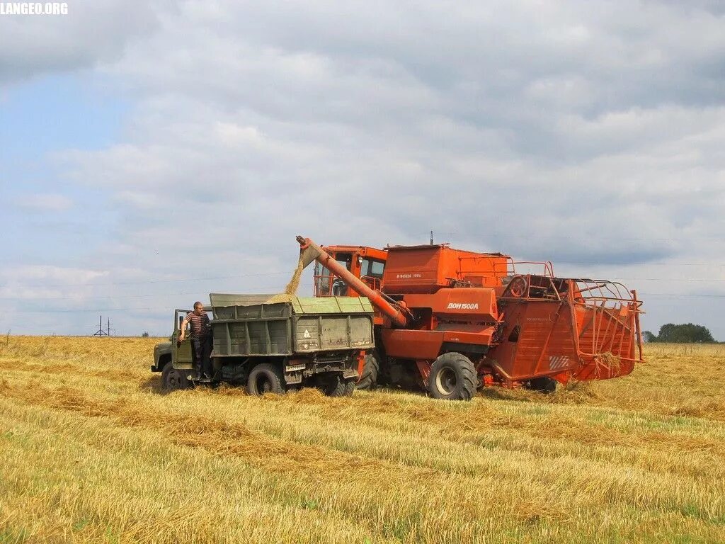 Комбайны ск-4 в ссср. Зил 130 на уборке зерна. Хлебоуборочный комбайн ссср. Зил 130 на уборке урожая ссср. Ск-4 комбайн.