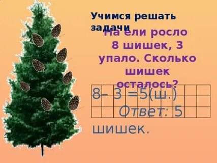 Шишка сколько дней