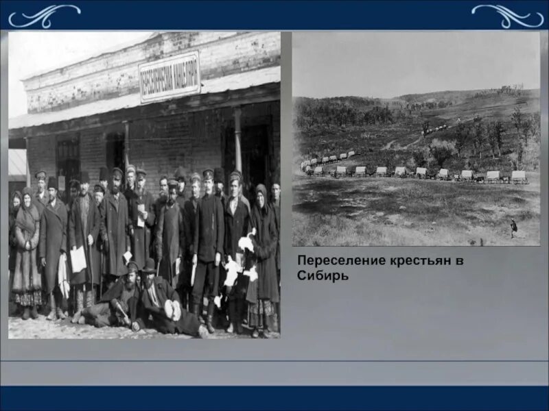 Переселение на дальний восток столыпин. Столыпинские переселенцы в Сибирь. Столыпинская Аграрная реформа переселение в Сибирь. Столыпинские переселенцы в Сибирь 1907. Аграрная реформа Столыпина крестьяне.