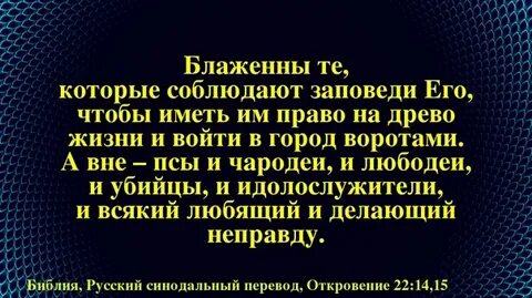 Вне имеем