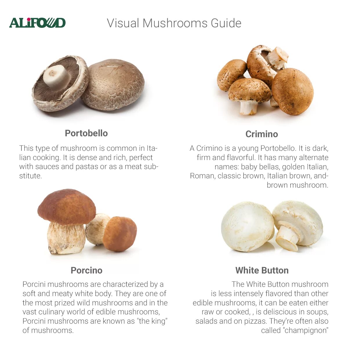 Types of Mushrooms. Kinds of Mushrooms. Types of Mushrooms in English. Names of Mushrooms in English. Mushroom глагол