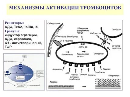Механизмы активации