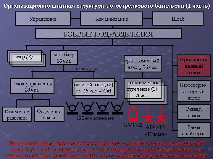 Организационная структура воинской части РФ. Штатная структура мотострелкового батальона вс РФ. Штатная структура мотострелкового взвода вс РФ. Структура мотострелкового полка организационно-штатная структура РФ. Командир батальона какая должность