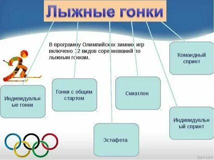Система спортивных соревнований это