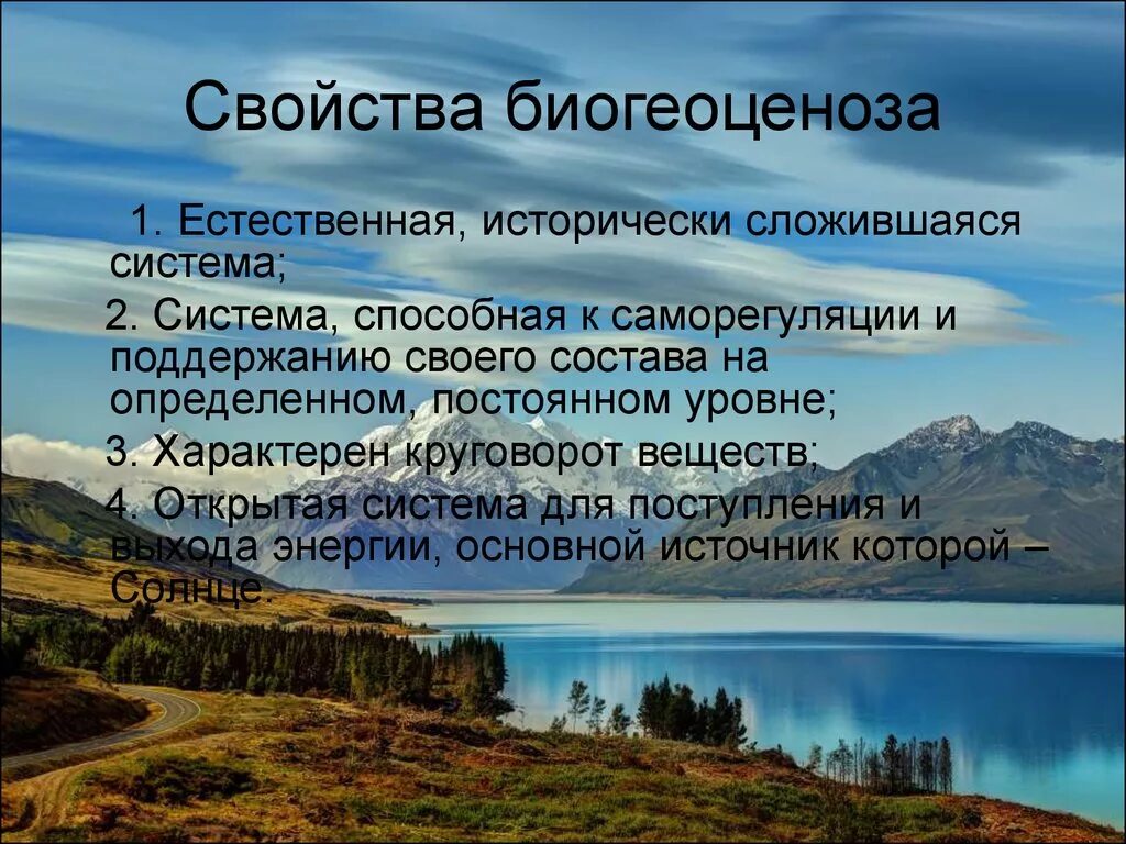 Свойства биогеоценоза. Свойства экосистем. Биогеоценоз характеризуется. Основные функции экосистемы. Биогеоценоз основа