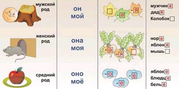 Мужской род примеры слов. Окончания имен существительных по родам. Род имен существительных. Род имен существительных таблица. Существительные определить род для дошкольников.