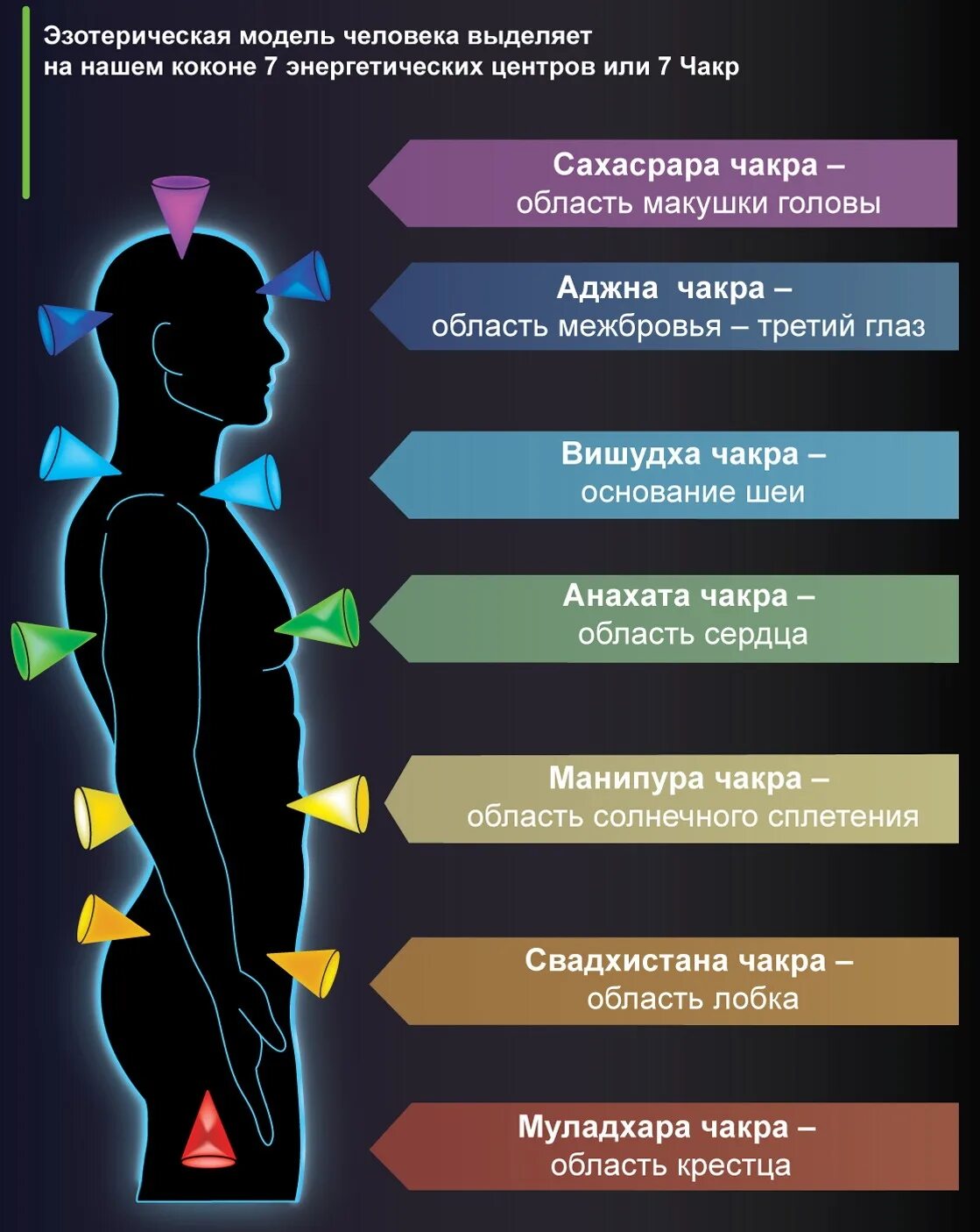 Чакры названия и значения. Чакры человека. энергетические центры человека. чакрымчеловека. чакры энергетические центры.