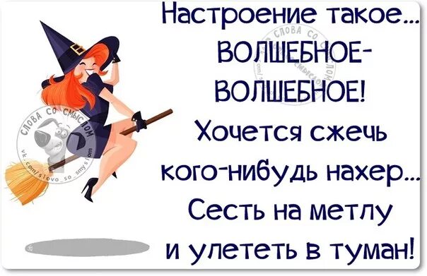 Терпешь. Смешные высказывания про ведьм. Статусы юмор. Шутки про ведьм. Фразы про женское настроение.