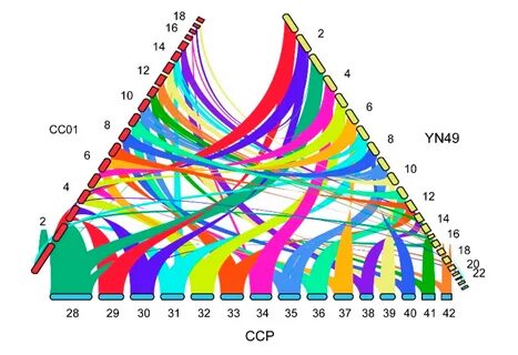 Comparative genomics