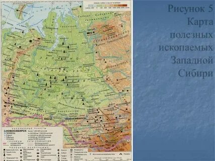 Барабинская низменность полезные ископаемые