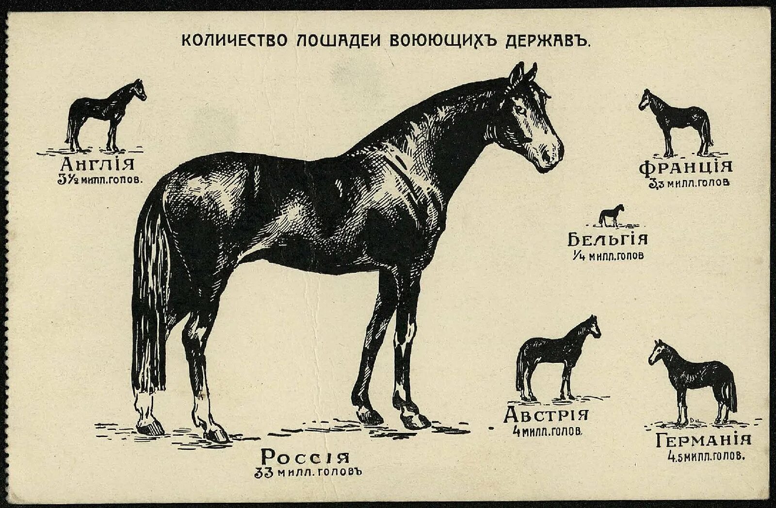Число лошади