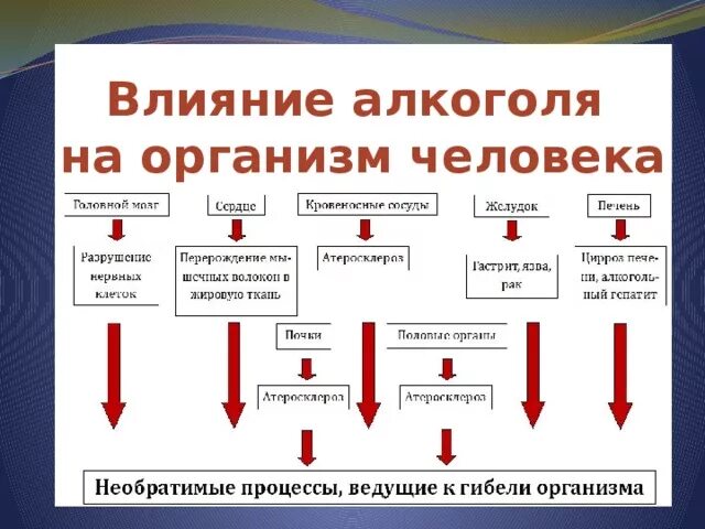 Вляниеалкоголя на организм человека.