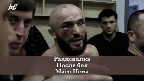Видео мага