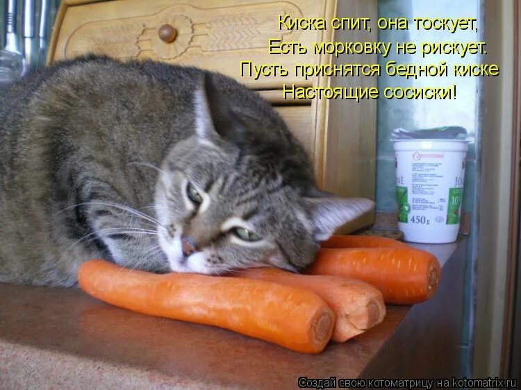 Кот с сосисками. Смешная сосиска. Кот ест колбасу. Кот морковь. Мама хочу киску