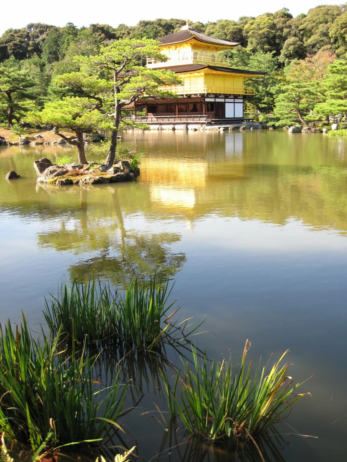 Японский пруд. Пруд в японском стиле. Реки Японии. Японский сад с прудом.