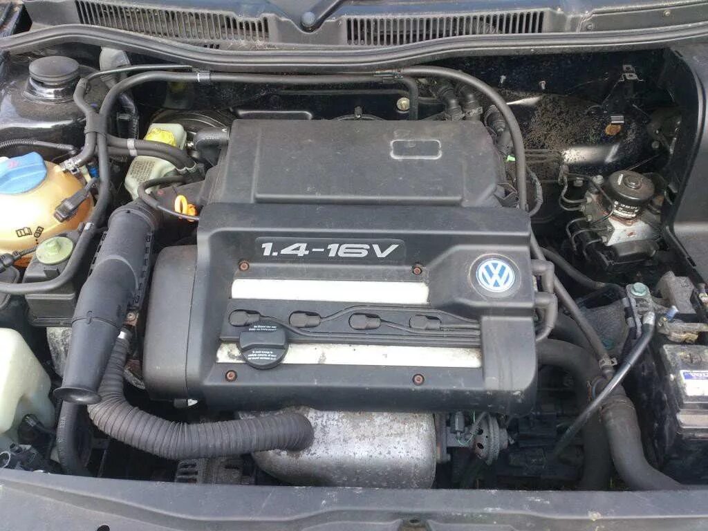 Гольф 4 1.4 akq. Гольф 4 1.4 16v axp. двигатель ahw 1.4 16v. фольксваген гольф 4 1.4 16 v 75 л.с. мотор seat 1.4 16v 100 л с.