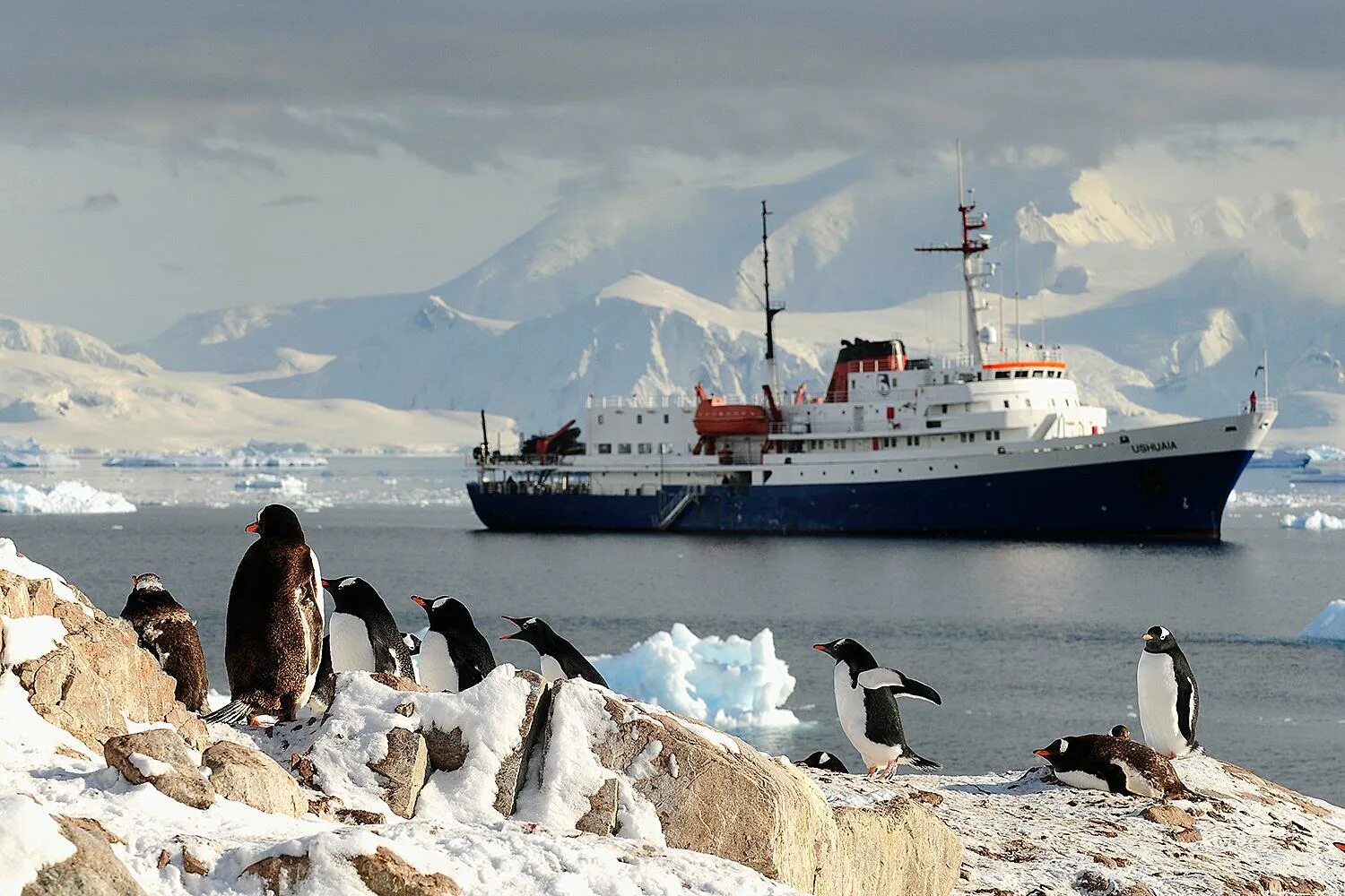 Ушуайя антарктида. Ушуайя Антарктида круизы. Ушуайя Антарктида круизы корабль. Южные Шетландские острова. Южные Шетландские острова Антарктида.