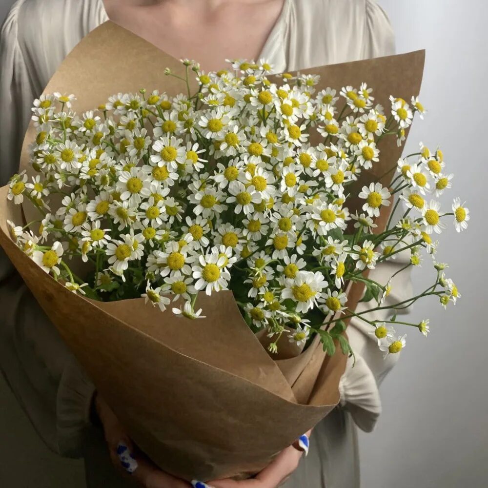 Букет кустовых оосвщек. Танацетум матрикария. Ромашки кустовые букет. Букет из кустовых ромашек. Букет из кустовых ромашек.