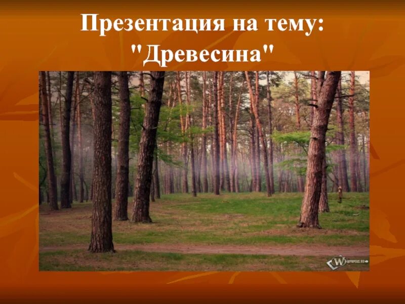 Презентация на тему древесины. Презентация на тему древесина. какие деревья используют для бумаги. какое дерево используют для бумаги. презентация на тему дерево пластики.