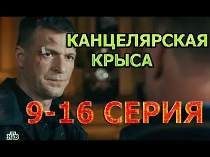Крыса передел