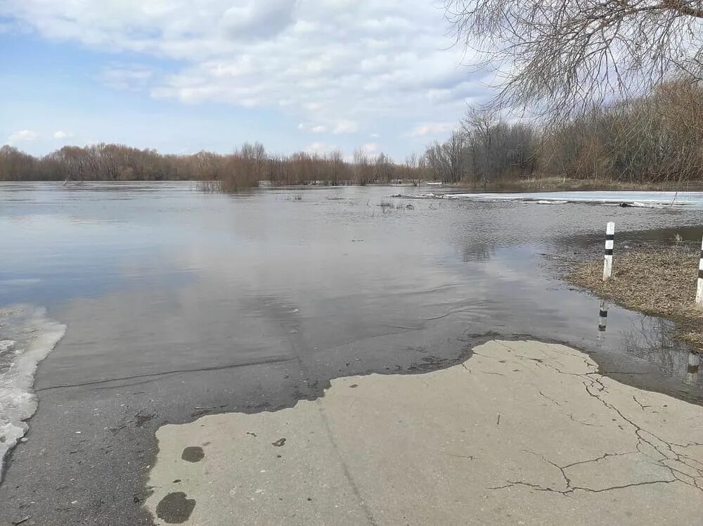 Половодье рязань уровень оки