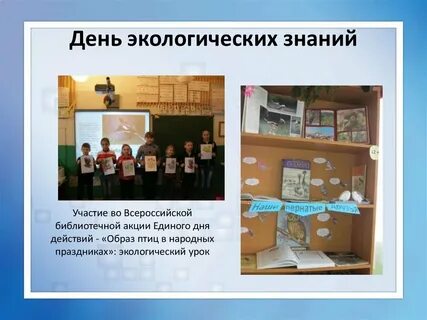 Отчет день экологических знаний в детском саду