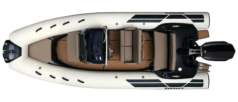 Rib 6
