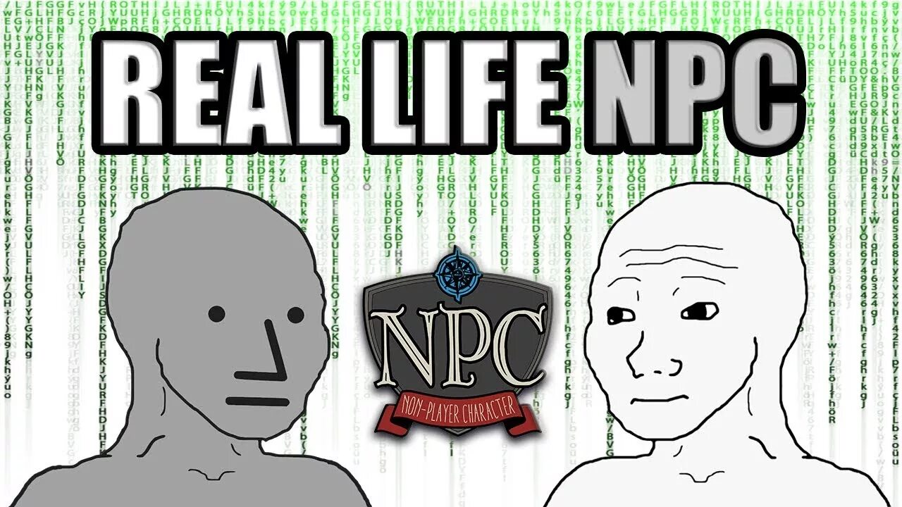 Do you really life. Ирл НПС. NPC IRL. I'M A real Life NPC. Daniel is the NPC.