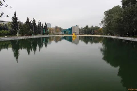 Пионерский пруд в селятино
