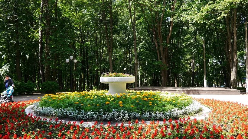 Фото парков подмосковья