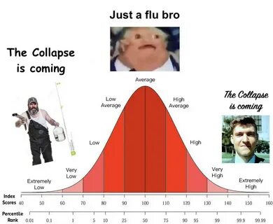 Iq 80