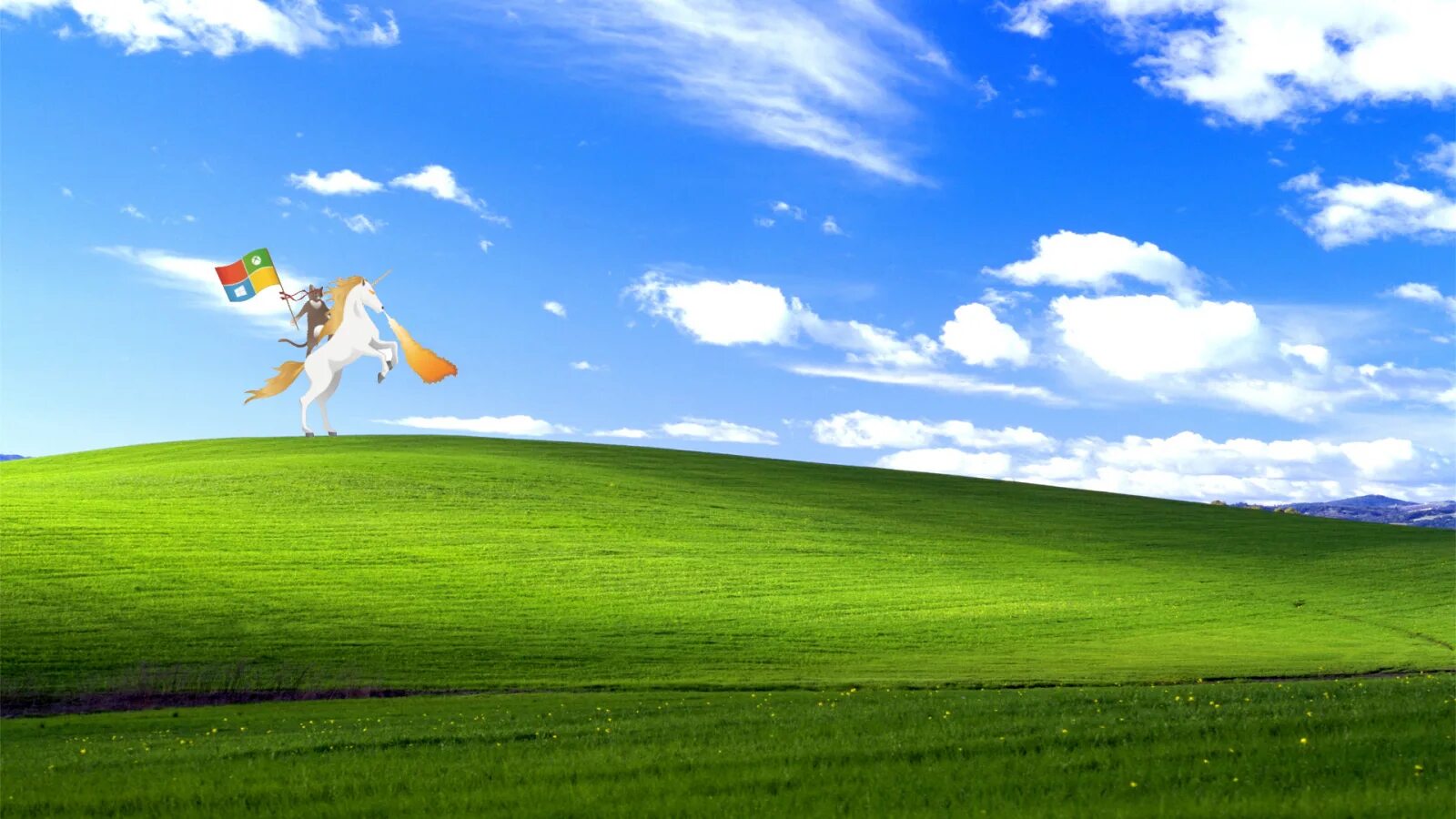 C windows xp. Виндовс. windows xp луг. поле windows xp сейчас. луг виндовс.