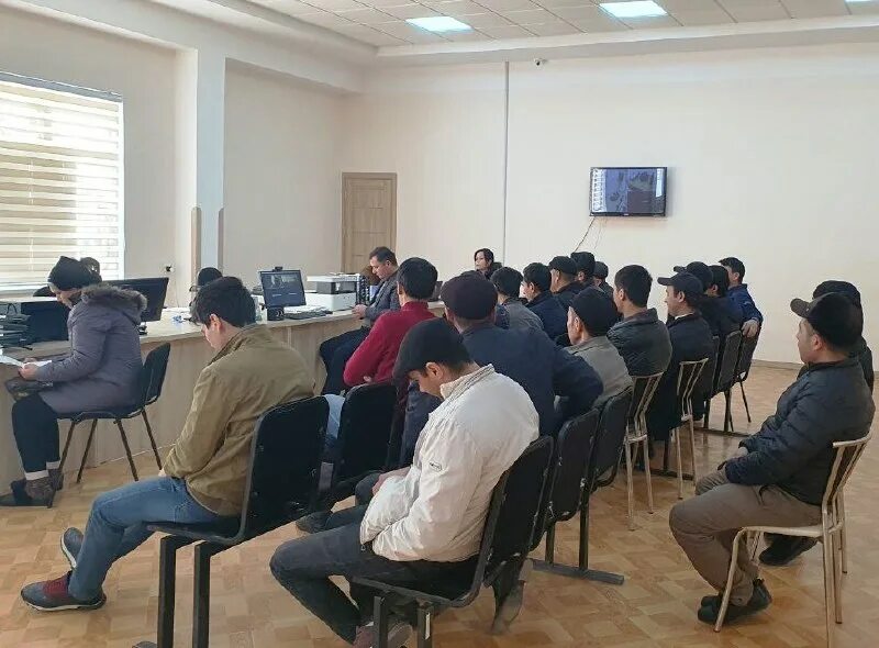 ташки мехнат миграцияси агентлиги узбекистан
