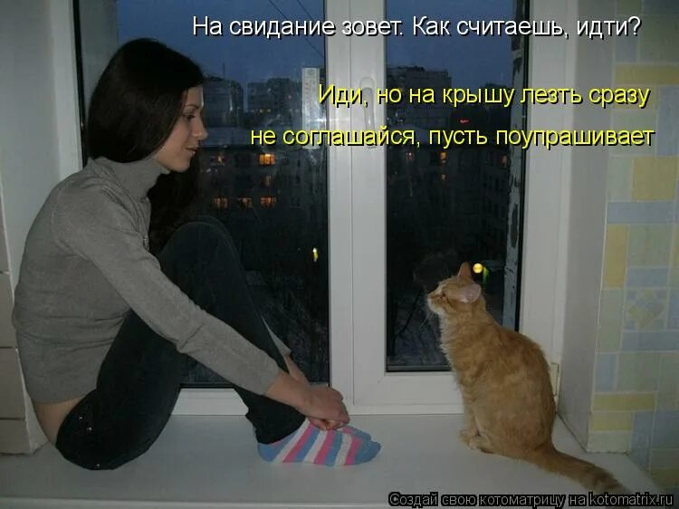 Кот привыкает к хозяевам. Кому нужен кот. анекдоты про кошек в картинках. кот пришел.