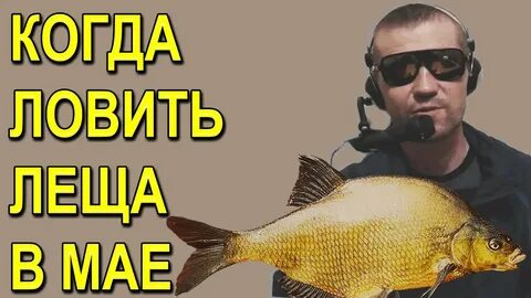 Рыбак поймал леща щуку